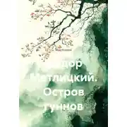 Постер книги Федор Метлицкий. Остров гуннов