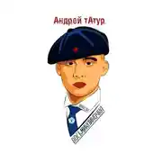 Постер книги Восьмиклиночка. Шансон