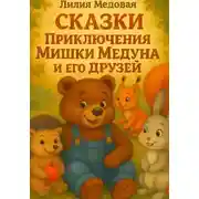 Постер книги Приключение Мишки Медуна и Его Друзей