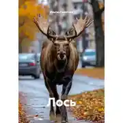 Постер книги Лось