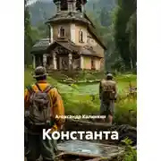 Постер книги Константа