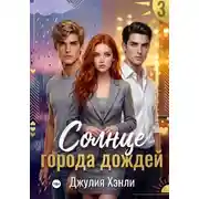 Постер книги Солнце города дождей. Книга 3