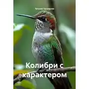 Постер книги Колибри с характером