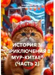 Алла Рубцова "Бабушка-на-гаджетах" - ИСТОРИЯ 3. "ПРИКЛЮЧЕНИЯ В МУР-КИТАЕ" (ЧАСТЬ 2)