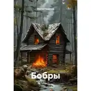 Постер книги Бобры