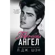 Постер книги Порочный ангел