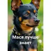 Постер книги Мася лучше знает