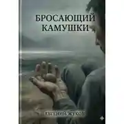 Постер книги Бросающий камушки