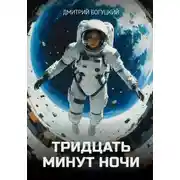 Постер книги Тридцать минут ночи