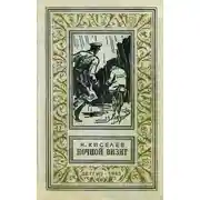 Постер книги Ночной визит