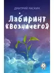 Дмитрий Раскин - Лабиринт «Возничего»