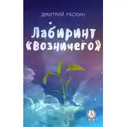 Постер книги Лабиринт «Возничего»