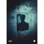 Постер книги Украденный роман моей жизни