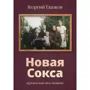 Постер книги Новая Сокса