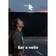 Постер книги Баг в небе