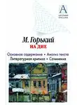 Игорь Родин - А. М. Горький «На дне». Основное содержание. Анализ текста. Литературная критика. Сочинения