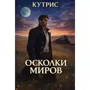 Постер книги Осколки миров