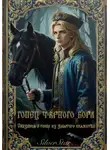 SilverStar - Сказания о гонце из забытого княжества: Гонец Чёрного Бора.