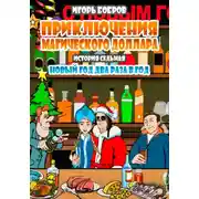 Постер книги Приключения Магического доллара. Книга седьмая. Новый год два раза в год.