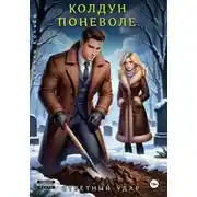 Постер книги Колдун поневоле. Ответный удар