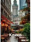 Николь Бумер - Клико