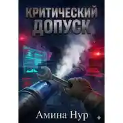Постер книги КРИТИЧЕСКИЙ ДОПУСК