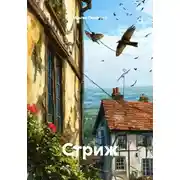 Постер книги Стриж