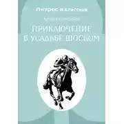 Постер книги Приключение в усадьбе Шоском