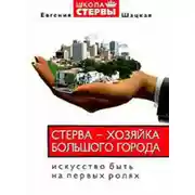 Постер книги Стерва – хозяйка большого города. Искусство быть на первых ролях