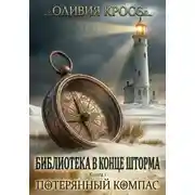Постер книги Потерянный компас