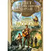 Постер книги Свет в каменном городе. Сборник рассказов