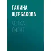 Постер книги Метка Лилит