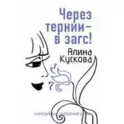 Постер книги Через тернии – в загс!