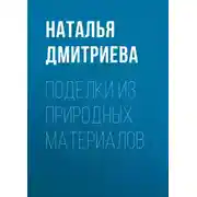 Постер книги Поделки из природных материалов