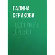Постер книги Поделки из бересты