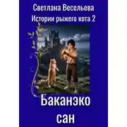 Постер книги Баканэко сан
