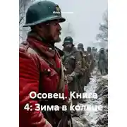 Постер книги Осовец. Книга 4: Зима в кольце