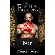 Постер книги Вор