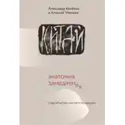 Постер книги Китай: анатомия замедления