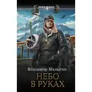 Постер книги Небо в руках