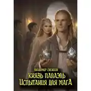 Постер книги Князь Палаэль. Испытания для мага