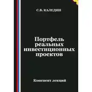 Постер книги Портфель реальных инвестиционных проектов