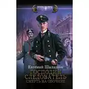 Постер книги Господин следователь. Смерть на обочине