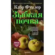Постер книги Зыбкая почва