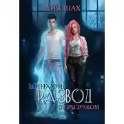 Постер книги Минхунь: развод с призраком