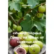 Постер книги «Инжир 'Чёрный Принц' на Урале: от саженца до урожая»