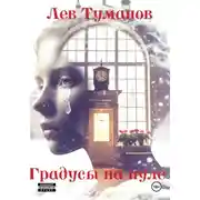 Постер книги Градусы на нуле