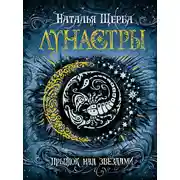 Постер книги Прыжок над звёздами