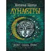 Постер книги Полет сквозь камни