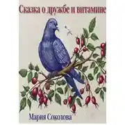 Постер книги Сказка о дружбе и витамине С